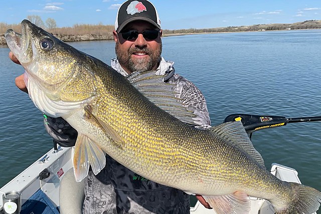 Did Bismarck's Mike Peluso Just Catch A State Record Walleye?