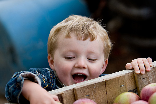 How Do You Like Them Apples?  3 Reasons To Be At Applefest