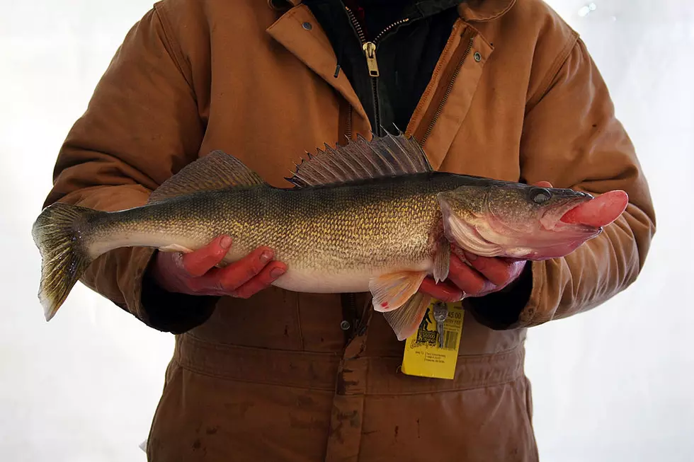 New Fish Cleaning Station In Garrison