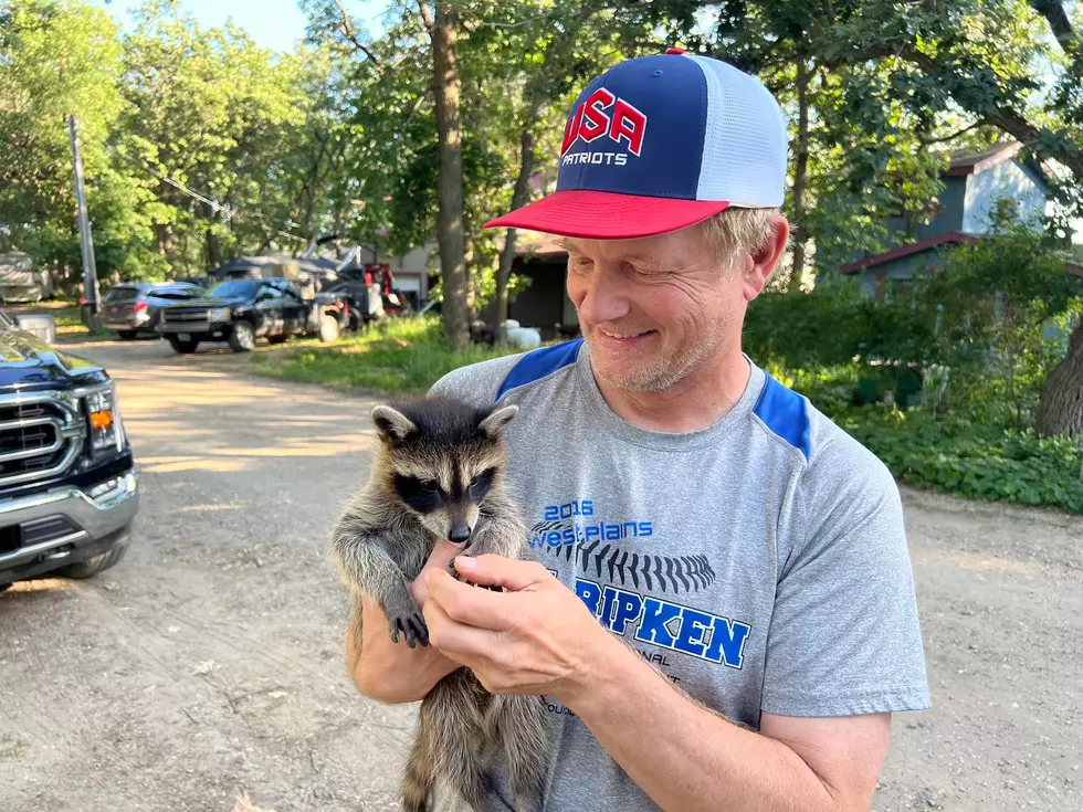 This Pet Is Illegal To Own In North Dakota But Is Legal In SoDak