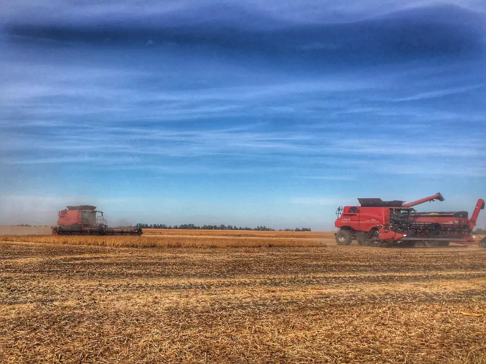 The North Dakota County With The Most Land Currently For Sale
