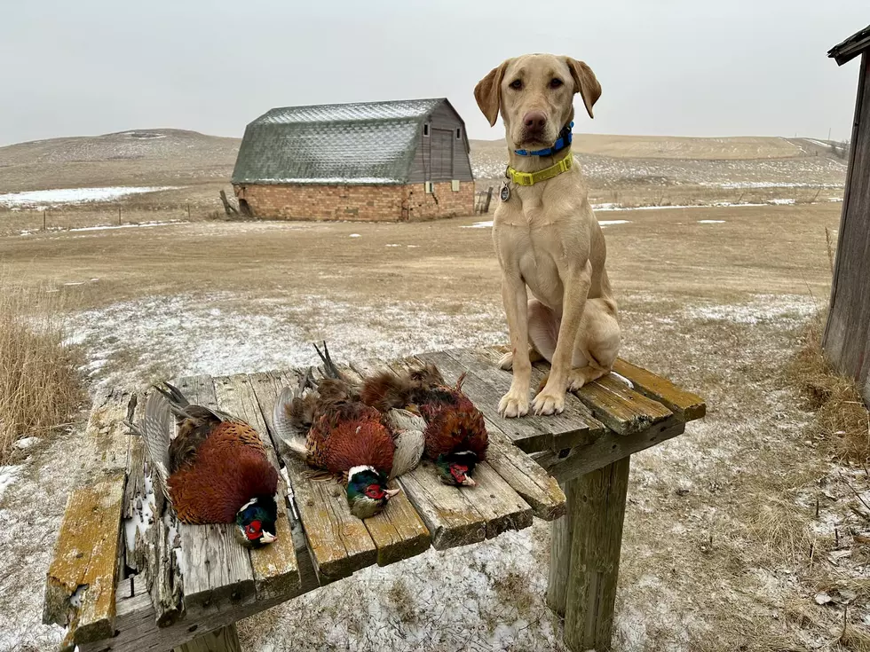 North Dakota Lawmakers Introduce A Bill That Could Change Hunting