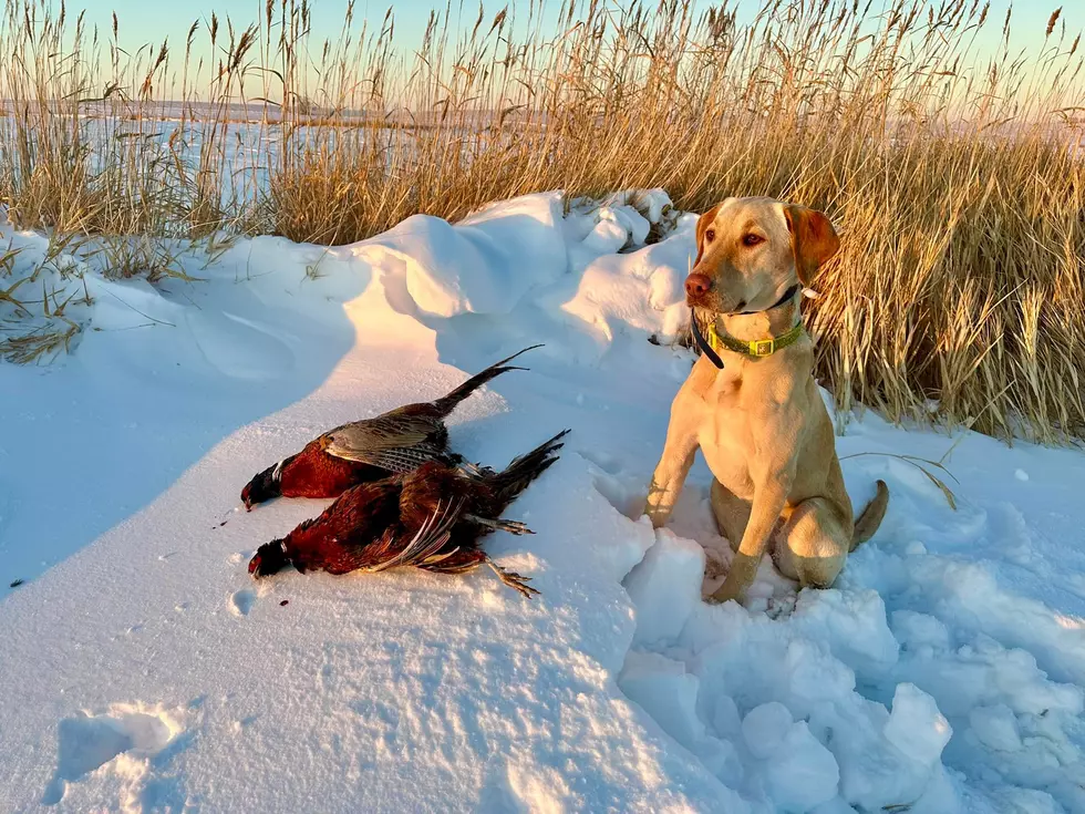 Another Round Of Accumulating Snow For ND Thanksgiving W-End