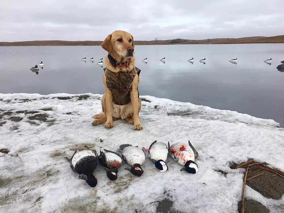 What Country Star Just Did Some Duck Hunting In North Dakota?